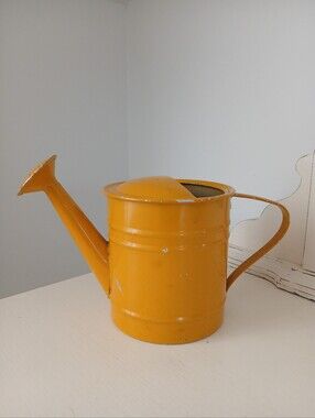 Small Vintage Ranch Style Metal Watering Can